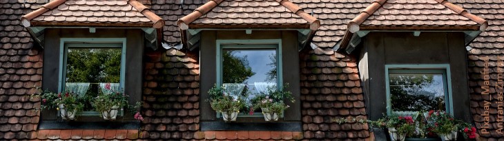 Drei Dachgauben mit Blumenkästen