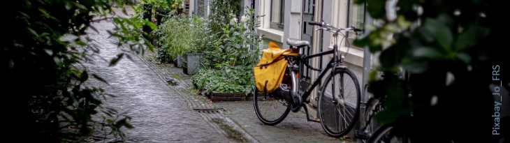 Blick durch Gebüsch auf Fahrrad an Hauswand