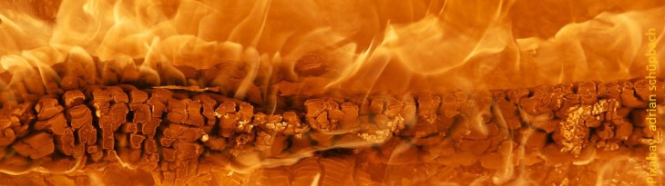 Feuer mit gelb-orangen Flammen um Holzscheit